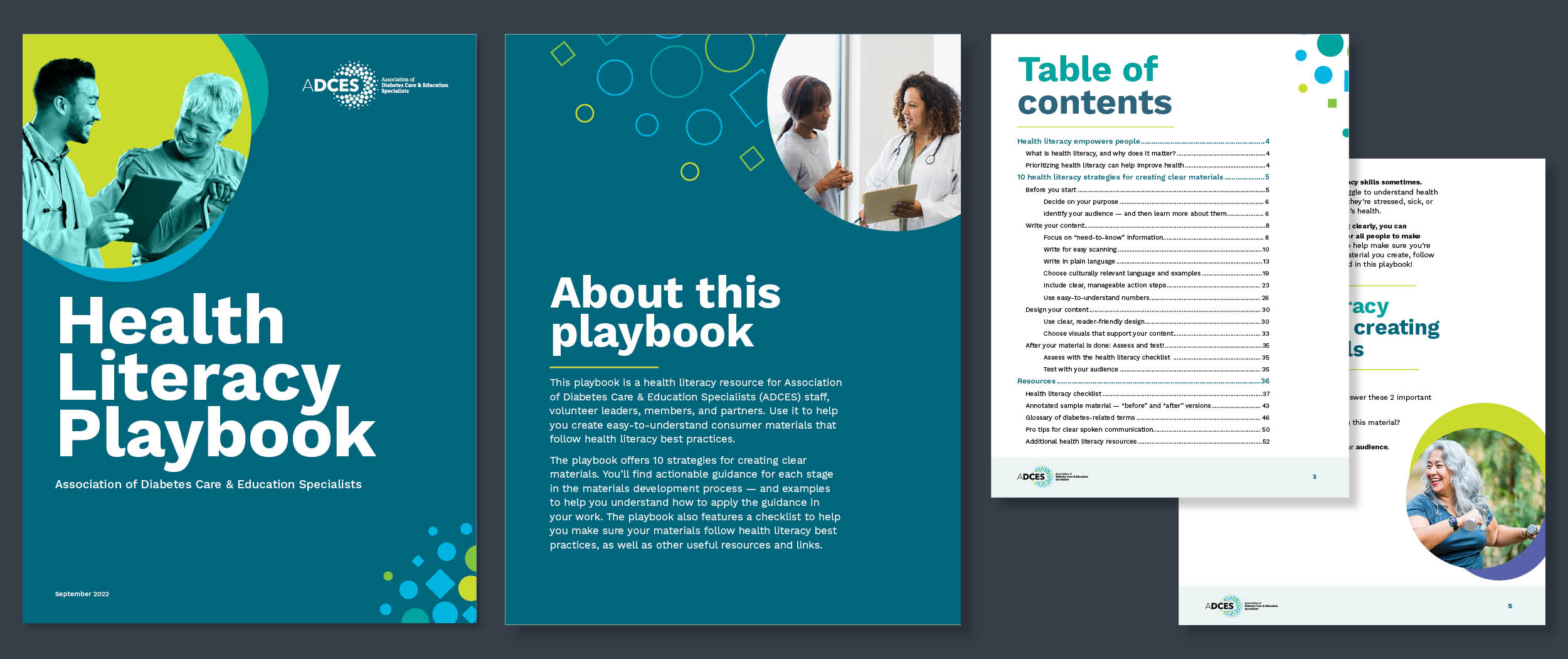 Example of report design for American Diabetes Care and Education Specialist.